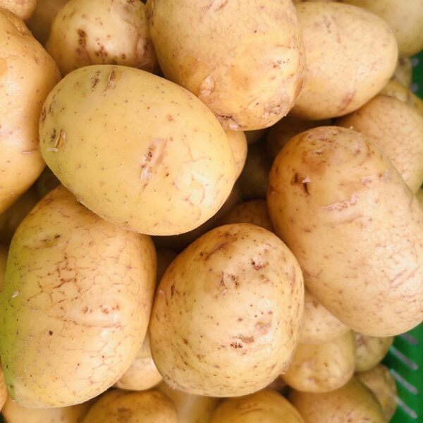 POTATOES-10KG WASH GOLDEN-NZ