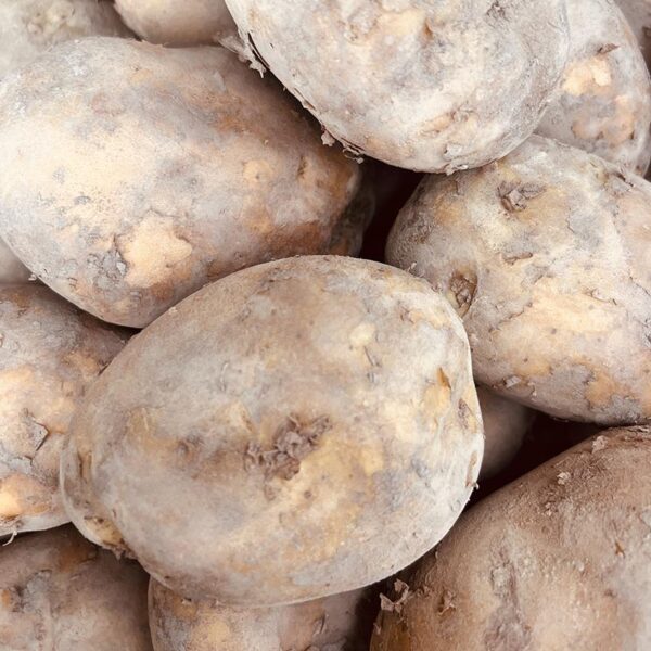 POTATOES-20KG BRUSH AGRIA-NZ