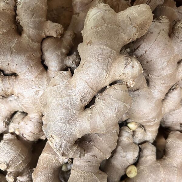GINGER-10KG CASE-THAI/CHI