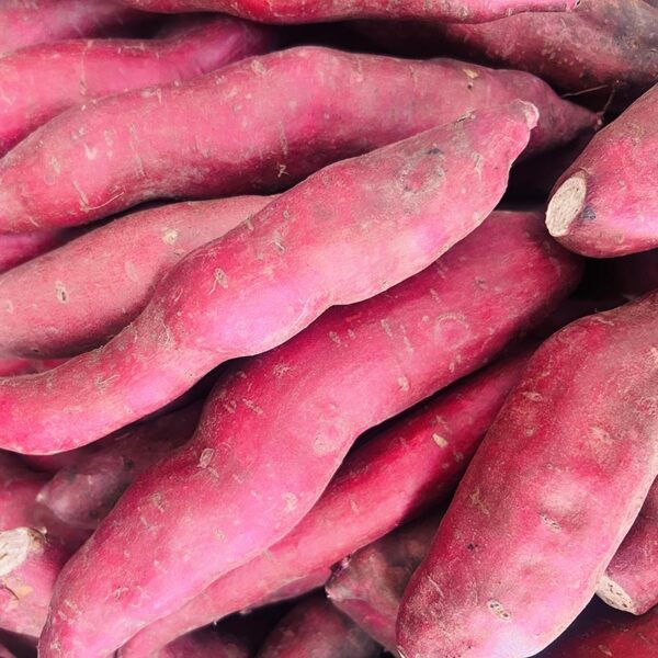 KUMARA-20KG CASE SMALL RED-NZ