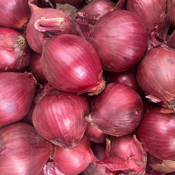 ONIONS-10KG PK RED BRSH-NZ/USA