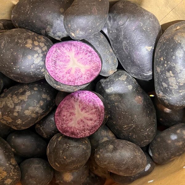 POTATOES-10KG PURPLE HEART-NZ