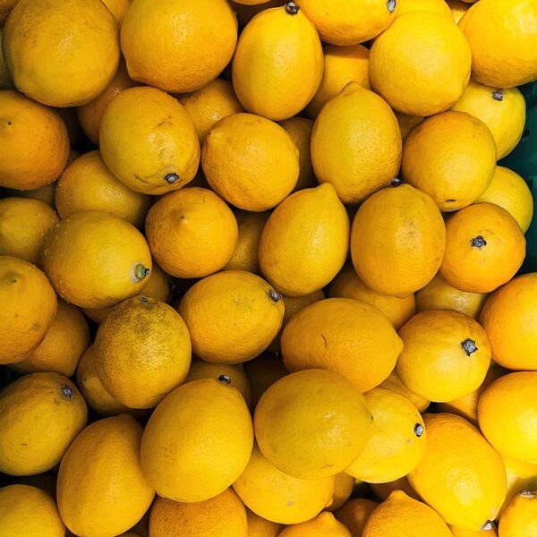 LEMONS-20KG CASE T2-NZ/AUS/USA