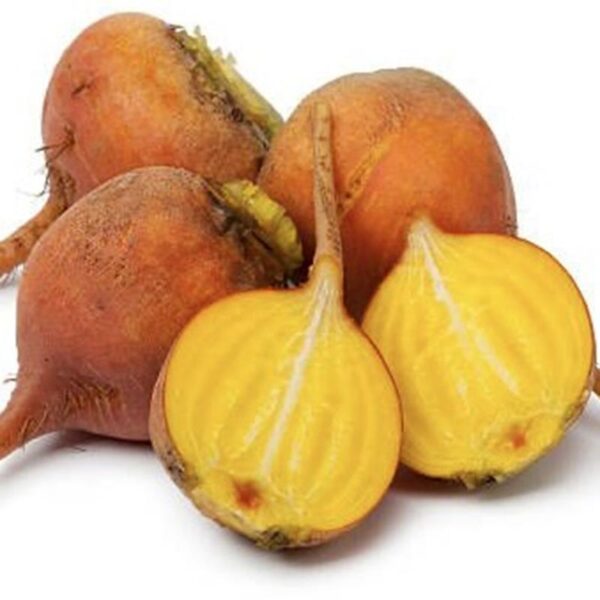 BEETROOT-LARGE GOLD-NZ