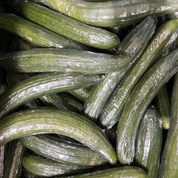 CUCUMBER-TAG 2 TELEGRAPH-NZ