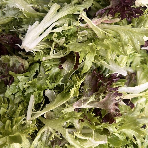 GARDEN SALAD-500GM BAG-NZ