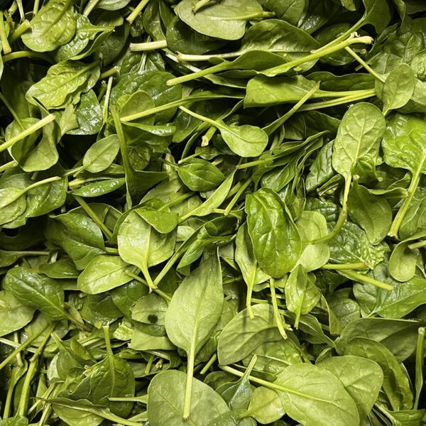 SPINACH-500G BAG BABY-NZ